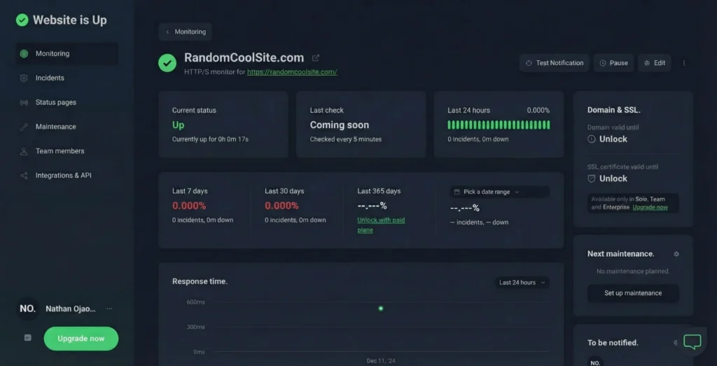 Website Is Up or Down? Check in Seconds 1 website is up